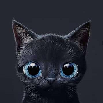 Portrait of Hamza Elrhadiouini, web developer for Sounds of Morocco